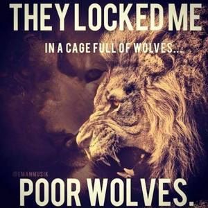 Meet your Posher, Arzo